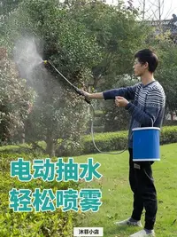 在飛比找Yahoo!奇摩拍賣優惠-充電式電動噴壺洗車抽水澆花灑水噴霧器園藝水槍噴槍打藥家用-沐