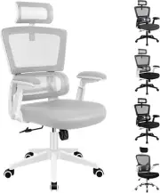 Ergonomic Office Chair High Back Mesh Task Chair