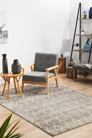 Summon Remy Silver Transitional Rug