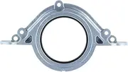 Crankshaft Rear Seal OSA0008
