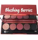 Dose Of Colors BLUSHING BERRIES Eyeshadow Palette New