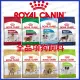 ROYAL CANIN 法國皇家 | 全品項狗飼料 | 狗糧 |幼母犬|成犬|貴賓|柴犬|室內犬|熟齡犬|幼犬|翔帥(590元)