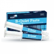 B-Quiet Paste 2 x 30g Twin Pack KER
