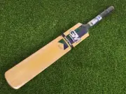 GM Gunn & Moore Maestro Select "Steve Waugh" Cricket Bat Harrow New old stock