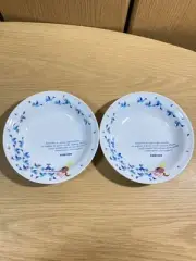 Richard Ginori Pinocchio Plate 2 Soup Pasta from JAPAN