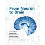 FROM NEURON TO BRAIN