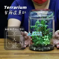 在飛比找蝦皮購物優惠-【AC草影】玻璃集露瓶【一個】三種規格 苔癬造景 裝飾造景 