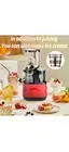 Slow Masticating Cold Press Juicer, Apples Orange Citrus Juicer With Wide Chute.