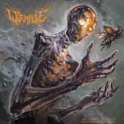 WORMHOLE ALMOST HUMAN NEW CD