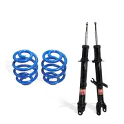 Front Sport Low Gabriel Ultra Strut Shocks Lovells Springs for Ford Territory SY