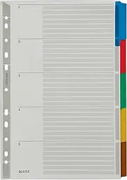 Esselte Leitz Cardboard Index Blank A4 Cardboard, 5 Sheets, Grey