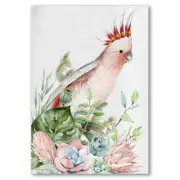 Major Mitchell’s Cockatoo 40% Hand Painting Canvas Print Art Wall Home Decor
