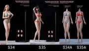 TBleague 1/6 PHMB2019-S35A Mid Bust Seamless Woman Suntan Body Figure Model Toys
