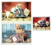 Border Fine Arts Kitchy & Co 3 x Glass Trivet Placemat Dog Theme