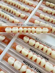 Acrylic Resin False Teeth Accutone Posterior Lower A1/59-PDS dentures box 160pcs