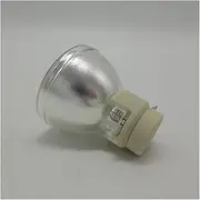 RLC-101 Replacement Lamp for View-Sonic PJD7836HDL Views-ONIC Pro7827HD