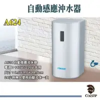 在飛比找Yahoo!奇摩拍賣優惠-【 達人水電廣場】 CAESAR 凱撒 A624 小便斗自動