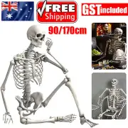 Halloween Poseable Skeleton Full Life Size Human Skeleton Decoration Medic AU