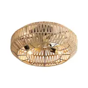 20" Boho Ceiling Fan with Lights and Remote, Rattan Caged Ceiling Fan w/6 Speeds
