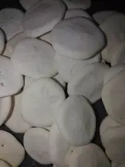 20 x sea biscuits. Sand dollar urchin Beach home coastal decor. Sea shell