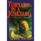 Tornado in a Junkyard: The Relentless Myth of Darwinism