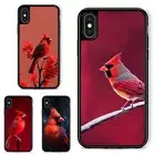 flowers red cardinal bird For iPhone XS 11 12 13 14 15 16 Pro Max Flexible Cover