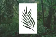 Palm Leaf Reusable Stencil (Many Sizes)