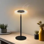 Cordless Table Lamp, Warm Light Desk Lamp for Living Room, Rechargeable Batte...