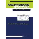 SOMATOSENSORY PROCESSING: FROM SINGLE NEURON TO BRAIN IMAGING