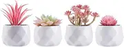 CADNLY Small Fake Desk Plant – Pink Decor for Women Desk - Artificial Succulent Plants - Faux Succulents in White Ceramic Pots – Mini Pink Succulent Decor for Bedroom Bathroom Bookshelf Office