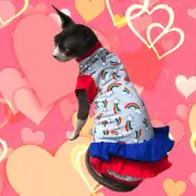 Sphynx Cat Dress Rainbows - Clothes Clothing Coat Shirt Jumper Vest Devon Rex