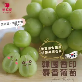 【新鮮屋】韓國麝香葡萄5-6入原裝箱