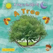 A Tree by Ruth Owen Paperback Book