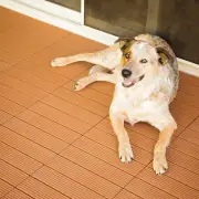 FlooringInc Helios Deck Tiles | Outdoor Patio Flooring | 4 Slat | 12"x12"