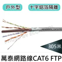 在飛比找Yahoo!奇摩拍賣優惠-【易控王】WONDERFUL 萬泰 CAT6 FTP 305