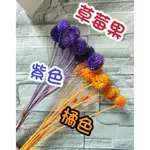 乾燥花 乾燥花材 草莓果  DIY素材 染色花材 搭配花材 居家裝飾