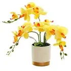 Plants Artificial Flower Plastic Three-prong With Pots Gold-bottomed Home