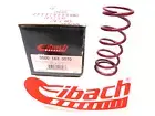 EIBACH COIL SPRING 0500.163.0070-GO CART-GO KART-QUARTER MIDGET-ASPHALT-NEW !