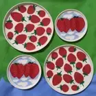 Marimekko Strawberry 2 Mansikka and 2 Mansikkavuoret Plates Set New Unused