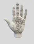 Pacific Giftware Psychic Palmistry Hand Fortune Teller Divination Diagram