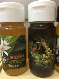 在飛比找Yahoo!奇摩拍賣優惠-龍眼蜜 天然原蜜 2020  1瓶700g 新蜜