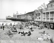 1904 Jersey Shore Beach Steel Pier Atlantic City 8x10 Photo