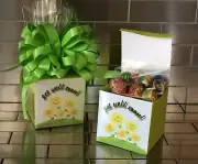 Get Well Soon Chupa Chups Lollipops Gift Basket-Box Wrapped With Green Bow