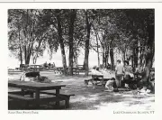 *Vermont Postcard-"The Sand Bar State Park" *Lake Champlain Islands {C45}
