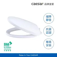 在飛比找momo購物網優惠-【CAESAR 凱撒衛浴】抗菌緩降馬桶蓋(通用型 / 不含安