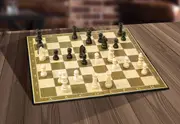 Kasparov Wood Chess Set