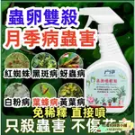 【台灣出貨】正品質保 免稀釋 月季白粉病 茶花桂蘭花黑斑 多肉  花卉植物通用 花草蟲多肉 月季 花病