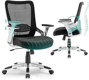 [SUNNOW] Office Chair, Ergonomic Computer Desk Chair, Sturdy Executive Task Chair - Adjustable Lumbar Support, Flip-up Arms, Tilt Function, Comfy Wide Seat, Swivel Mesh Home Office Desk Chairs (Black)