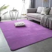 Solid Color Coral Velvet Home Carpet Modern Simple Living Room Bedroom Decoration Sofa Coffee Table Cloakroom Soft Mat,SHR,Purple,80x160cm 31x63inch