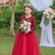 Flower Kids Girls Sequins Princess Long Dress Bridesmaid Pageant Party Prom Gown